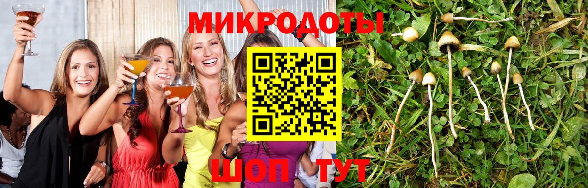 наркота  Вход с VPN  Менделеевск  Галлюциногенные грибы мицелий 