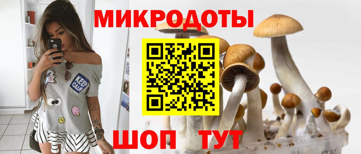 Галлюциногенные грибы Cubensis Менделеевск