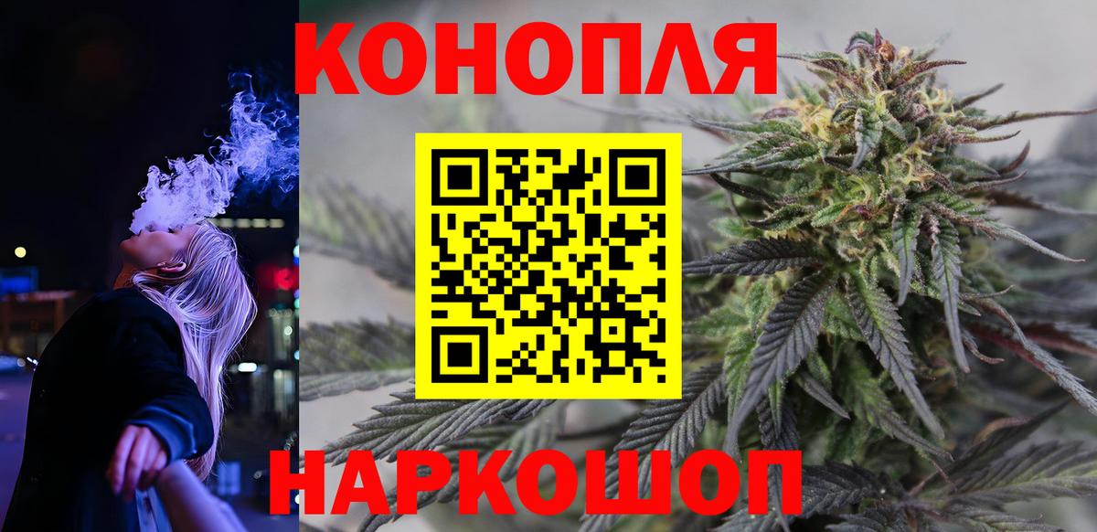 Каннабис сатива Менделеевск